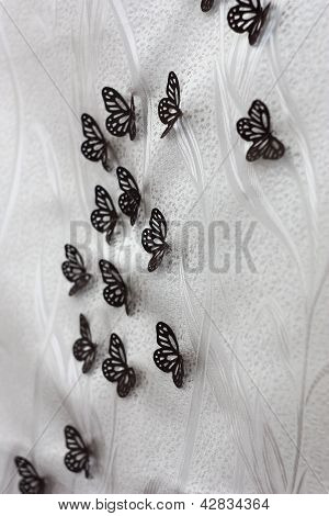 schwarze Schmetterlinge auf der weiÃŸen.