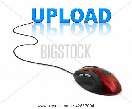 Computer Mouse And Word Upload