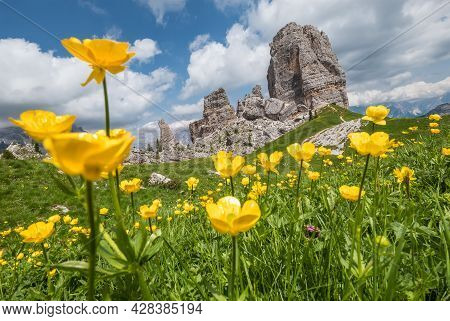 Fresh Green Grass And Yellow Flowers Landscape Photo With Rock Formation Cinque Torri, Cinque Torri 