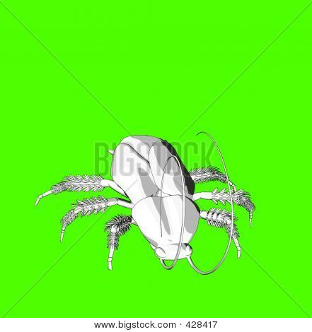 Coakroach 2