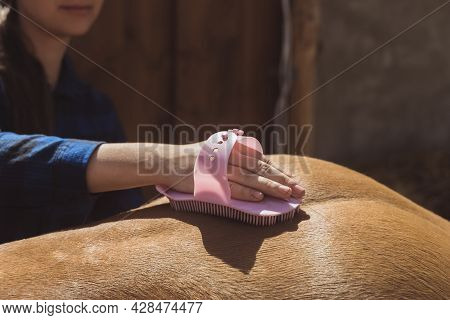 Female Horse Owner Brushing Off Dust From Her Horseback. Light Brown With A Blonde Mane Being Cleane