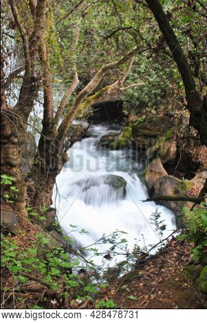 Nahal Hermon Nature Reserve (banyas) - Strong Rushing Water Of The Banyas Stream Flowing Among Moss-