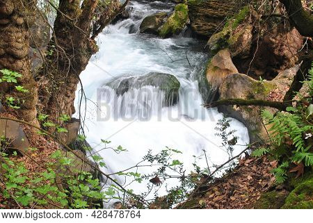 Nahal Hermon Nature Reserve (banyas) - Strong Rushing Water Of The Banyas Stream Flowing Among Moss-