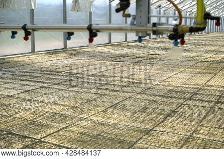 A Greenhouse For Growing Plants And Trees. Irrigation Technology In The Greenhouse.