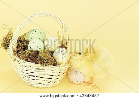 Easter Chick And Eggs