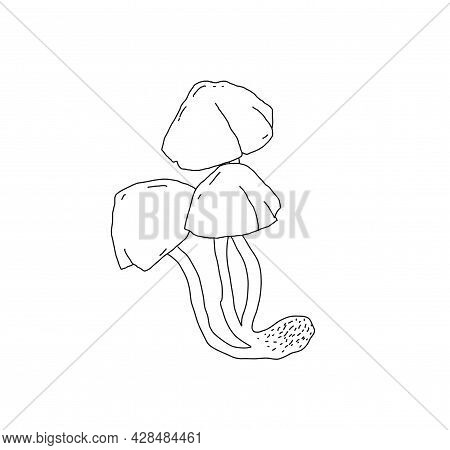 Illustration Of A Mushroom In The Style Of Linart