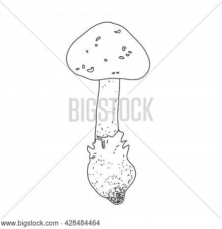 Illustration Of A Mushroom In The Style Of Linart