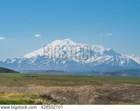 Green Grass On The Yellow Spring Alpine Meadows Of The Gumbashi Pass. Snow Covered Huge Mountain Elb
