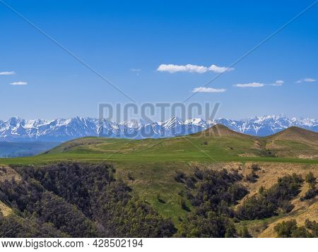 Green Grass On The Yellow Spring Alpine Meadows Of The Gumbashi Pass. Snow Covered Huge Mountain Elb