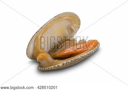 High Angle View Of Single Opened Clam, Baby Clams, Short Neck Clams, Carpet Clams On White Backgroun