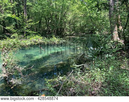 Deleon Springs State Park In Florida