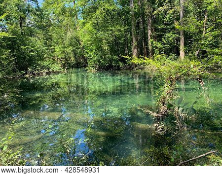Deleon Springs State Park In Florida