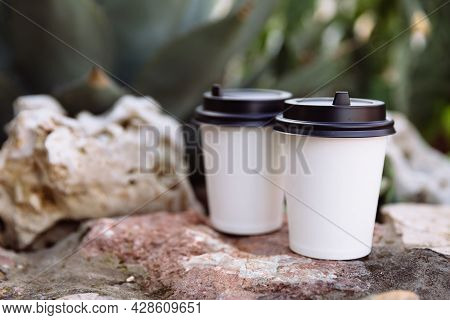 Two Cups Of Coffee To Go, Cups In White Paper On The Stones. Behind The Stones Grow A Cactus.