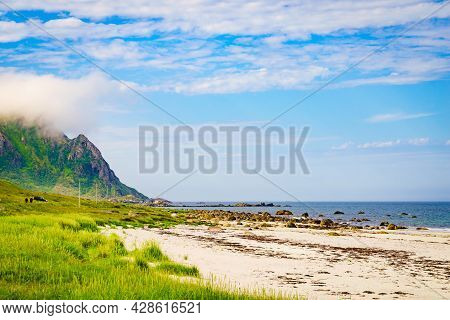 Seascape, Sea Coast With Sandy Beach In Resort Bleik. Andoya Norway. Vesteralen Archipelago.