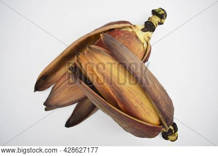 Exotic Vegetable Edible Banana Flower Or Banana Blossom. Widely Used In Various Recipes In Asia, Ind