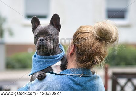 Blond Wwoman Holding French Bulldog Dog Over Shoulder