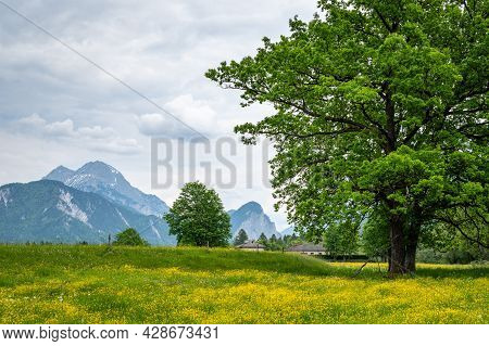 The Austrian Alps Near Admont On A Sunny Day In Summer, National Park Gesaeuse, Green Meadows With Y