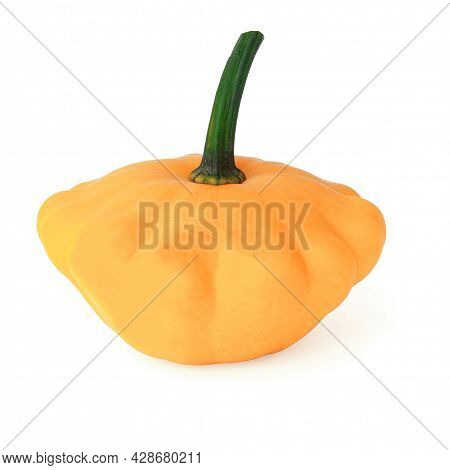 Yellow Pattison Cucurbita Pepo Isolated On White Background. Annual Herb
