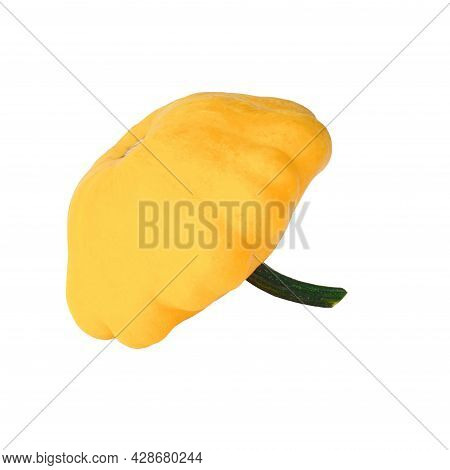 Yellow Pattison Cucurbita Pepo Isolated On White Background. Annual Herb