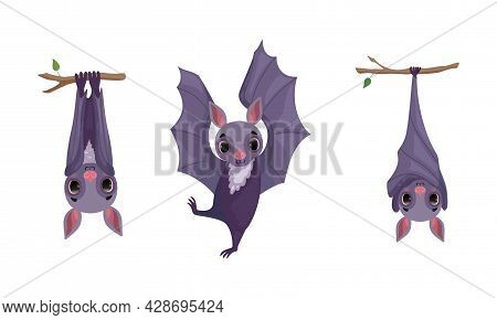 Funny Purple Bat With Cute Snout Hanging Upside Down On Tree Branch And Dancing Vector Set