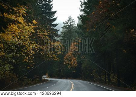 Photo Of The Road 58 On Oregon State At Autumn