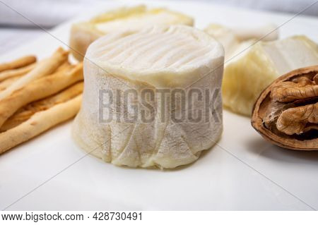 Cheese Collection, Soft Goat French Cheese With Mold Crottin De Chavignol Produced In Loire Valley
