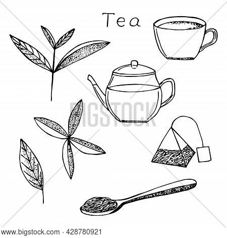 Tea Set Vector Illustration Hand Drawing Sketch Tea Leaves Cup Teapot Tea Bag And Spoon With Tea Lea