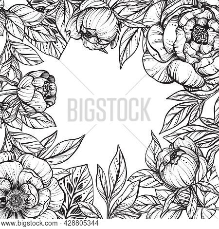 Beautiful Vector Frame With Black And White Feverweed, Protea, Peony Flowers And Leaves.