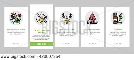 Phytotherapy Treat Onboarding Mobile App Page Screen Vector. Phytotherapy Medicaments From Flowers A