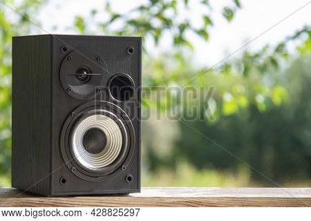 Acoustic sound speakers on nature background. Multimedia, audio and sound concept. Copy space. The musical equipment. Close-up.