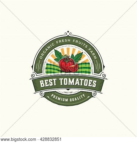 Vintage Style Badge Tomato Farm Vector. Hand Drawn Or Sketching Minimalism Style Vector Illustration