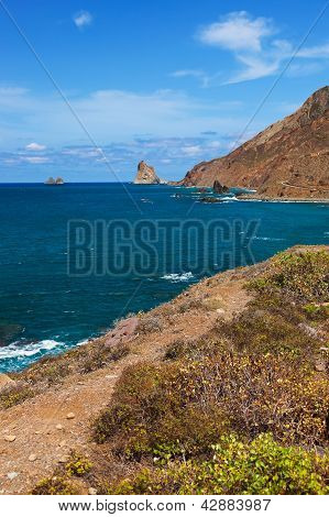 Costa nell'isola di Tenerife - Spagna Canarie