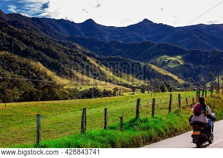 View Of The Wax Palms And  The Beautiful Mountains At Cocora Valley Located On The Quindio Region In