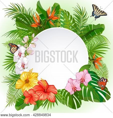 Banner With Frame And Vegetation.vector Illustration With A Round Frame, Tropical Plants And Butterf