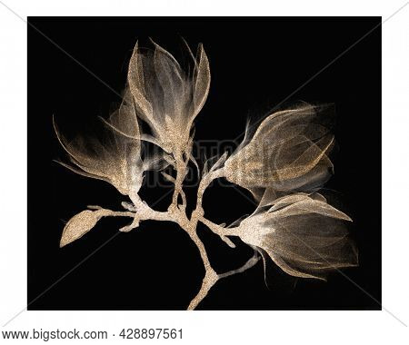 Vintage magnolia branch with four flowers wall art print and poster design remix from original artwork.