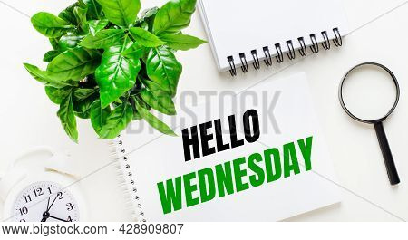 On A Light Background, There Is A White Alarm Clock, A Magnifying Glass, A Green Plant And A Noteboo