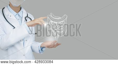 Female Doctor Holding Virtual Intestine In Hand. Handrawn Human Organ, Copy Space On Right Side, Raw