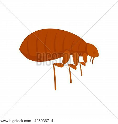 Parasite Bug Icon. Flat Illustration Of Parasite Bug Vector Icon Isolated On White Background