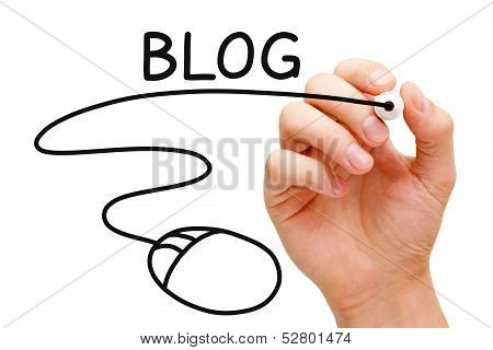 Blog Concept