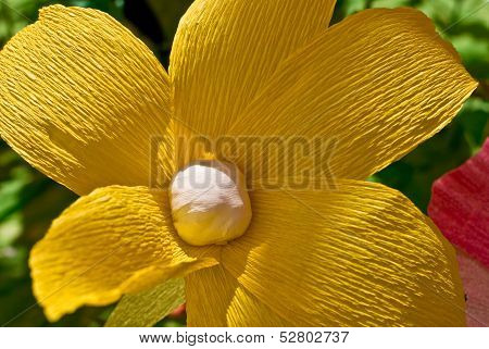 The Flowers From Paper