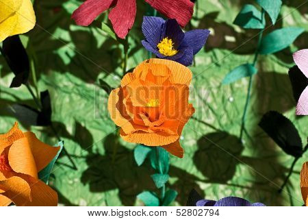 The Flowers From Paper