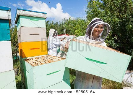 Female beekeeper in protective clothing working with colleague at apiary