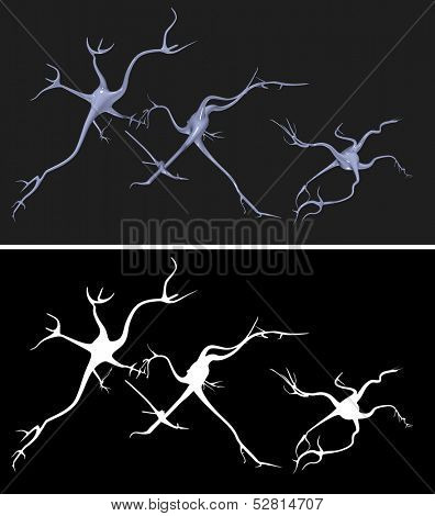 Nerve cells with alpha mask for easy extraction