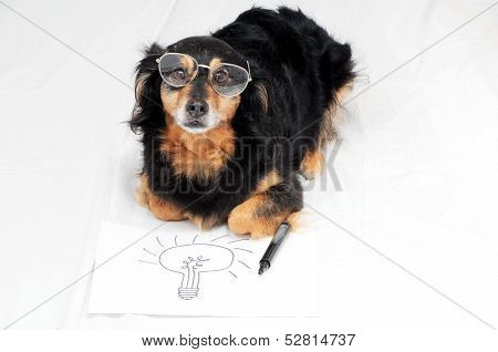 Drawing Dog