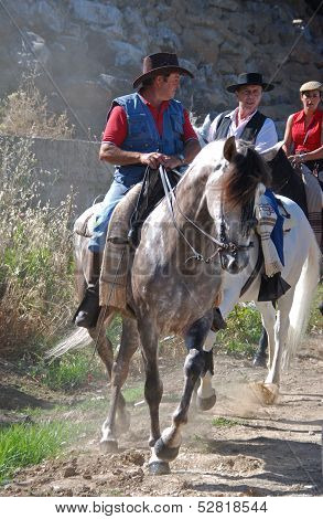 Man riding horses, Marbella, Spain.