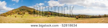 Colorful Autumn Forest And Meadow