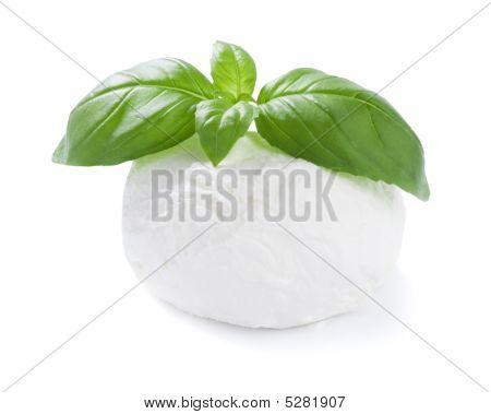 Mozzarella juusto pallo basilikan lehteä eristetty valkoinen