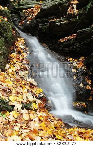 Little waterfall with colorful leaves, autumn in the nature