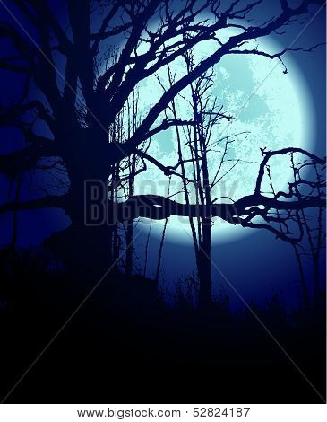 The Blue Night