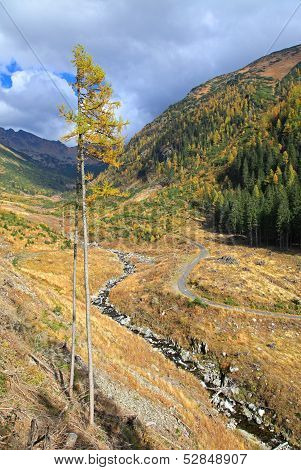 Autumn Forest At Ziarska Dolina - Valley In High Tatras, Slovakia